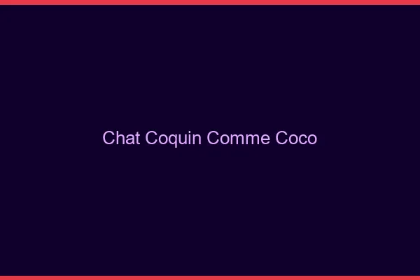 Chat coquin comme Coco