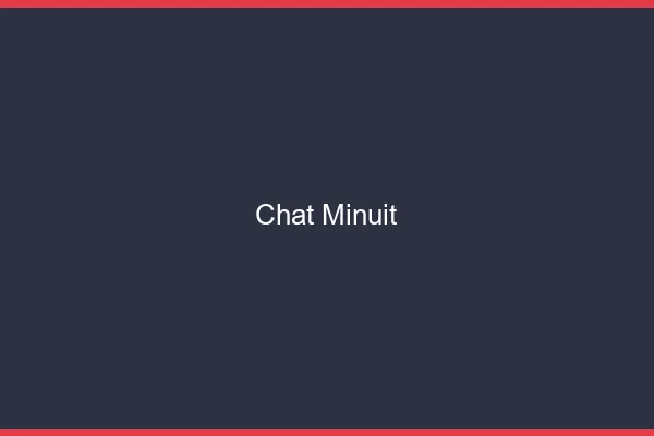 Chat à minuit