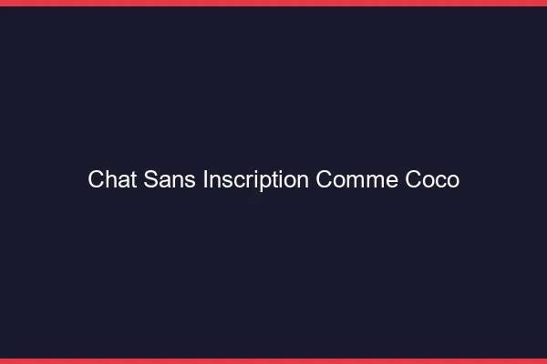 Chat sans inscription comme Coco