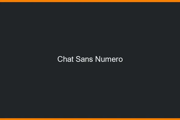 Chat sans numéro de téléphone