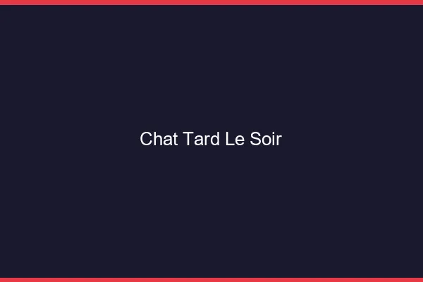 Chat tard le soir