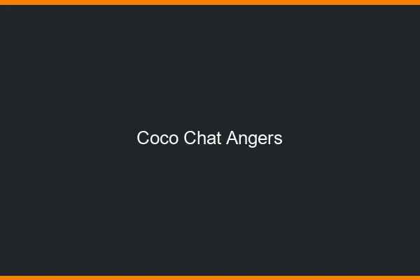 Coco chat Angers : alternative