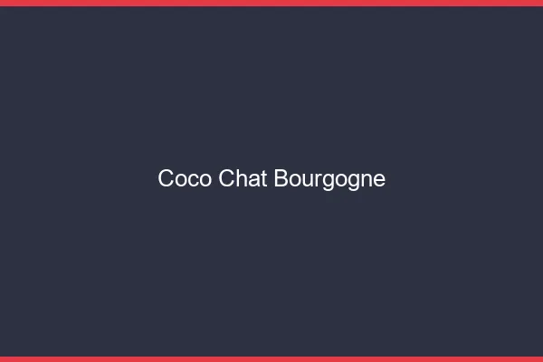 Coco chat Bourgogne : alternative