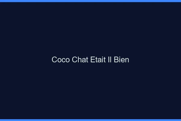 Coco chat était-il bien ?