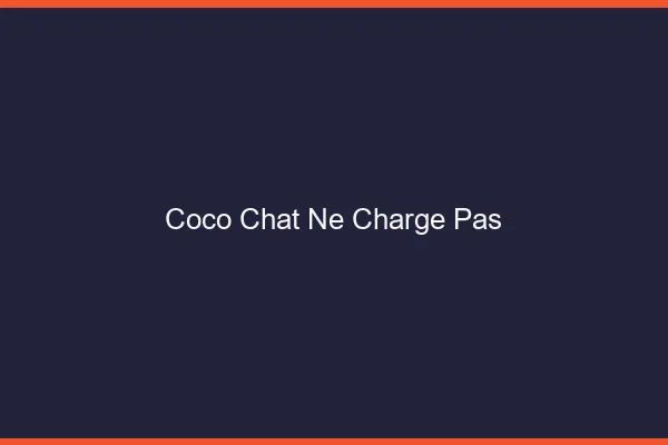 Coco chat ne charge pas