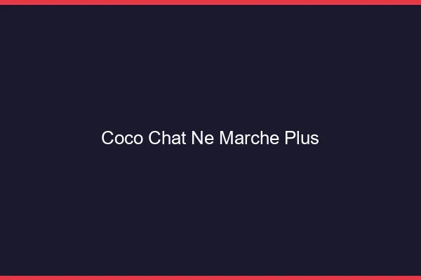 Coco chat ne marche plus