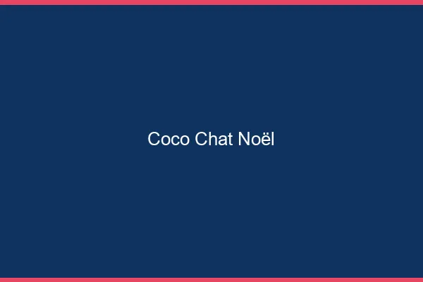 Coco chat Noël : alternative