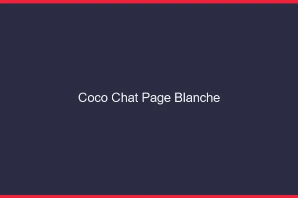 Coco chat page blanche