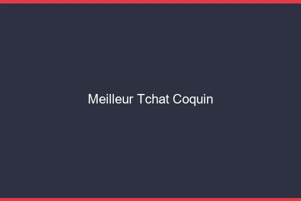 Meilleur tchat coquin 2026