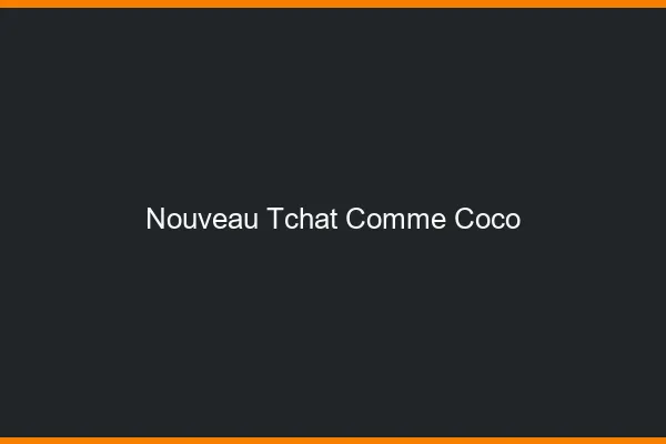 Nouveau tchat comme Coco