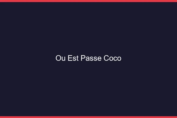 Où est passé Coco chat ?