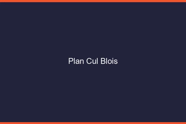 Plan cul Blois