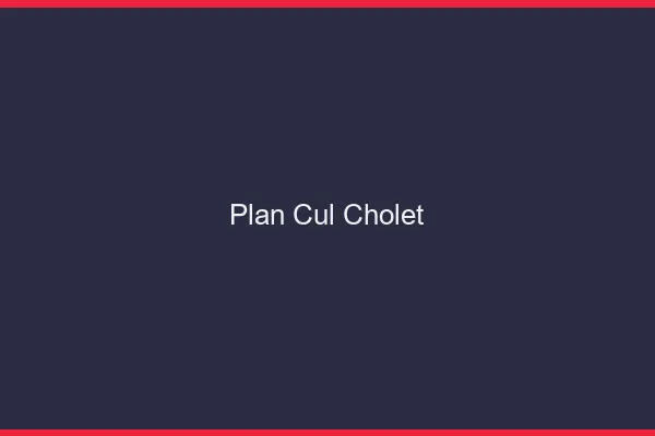 Plan cul Cholet
