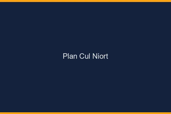 Plan cul Niort