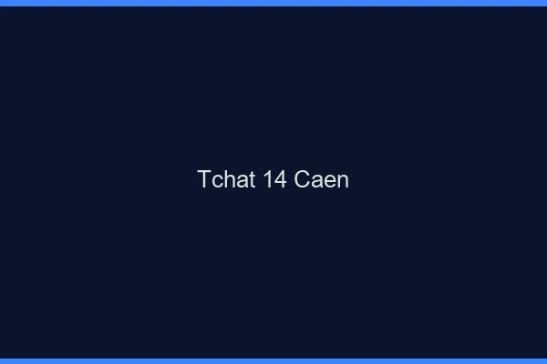 Tchat 14 Caen sans Coco