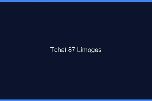 Tchat 87 Limoges sans Coco
