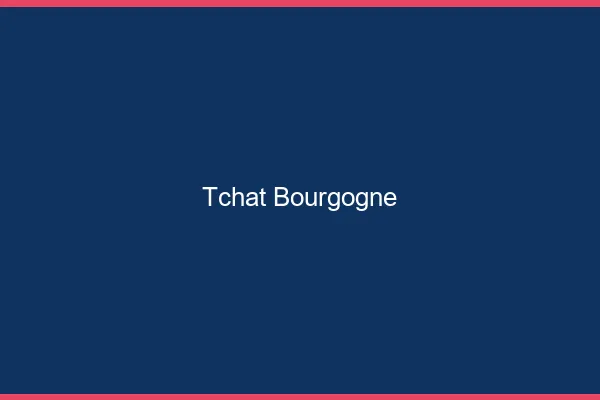 Tchat Bourgogne gratuit