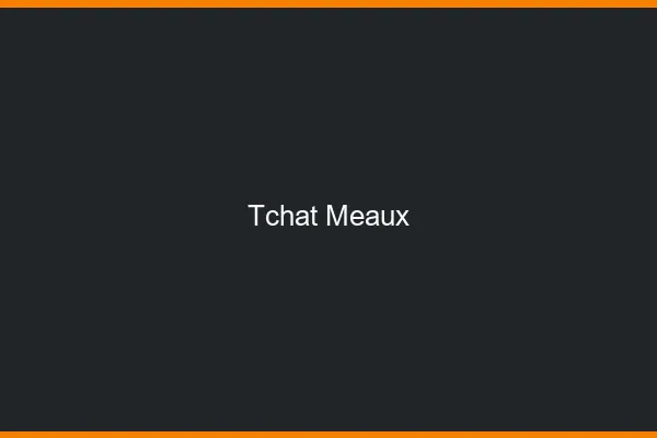 Tchat Meaux gratuit